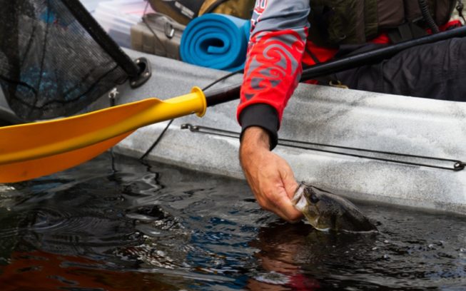 Base Camp Bassin’ img
