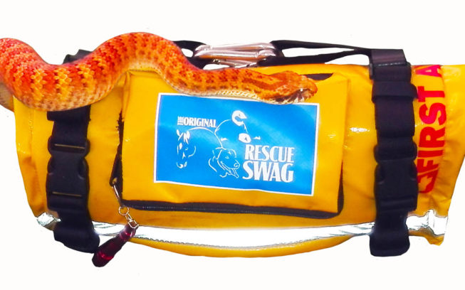 Palaszczuk Government funds innovative ‘smart-aid’ kit which could save lives img