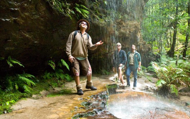 NSW POPULAR FOR WALKING HOLIDAYS img