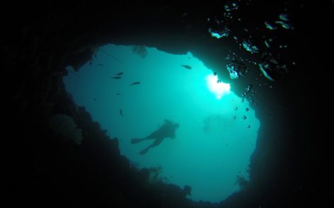 DIVE EXPO JOINS BOAT SHOW 2017 img