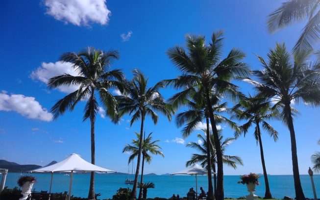 Funding helps tourism industry bounce back img
