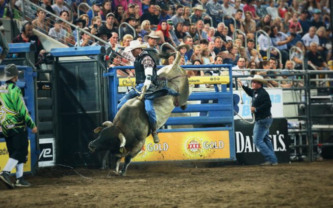 An 8 second read – Bull Riding Feature img