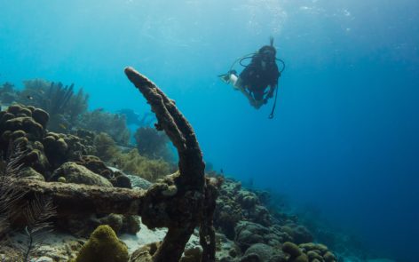 Top Spots To Dive At The Great Barrier Reef img